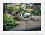 Dierentuin Antwerpen 23 * 2048 x 1536 * (1.11MB)